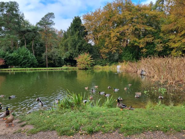 BCP lake